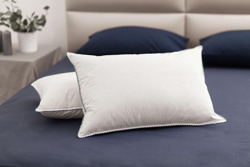 Golden Goose Pillow Sleep.8